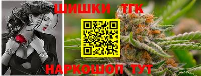 тгк Славгород