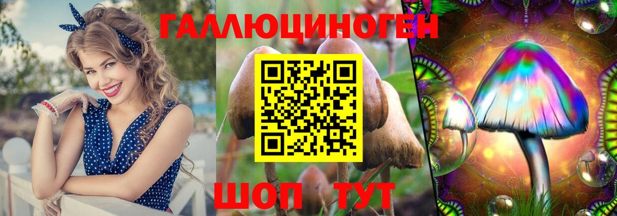 Новоуральск  Галлюциногенные грибы Psilocybine cubensis  Вход с VPN 